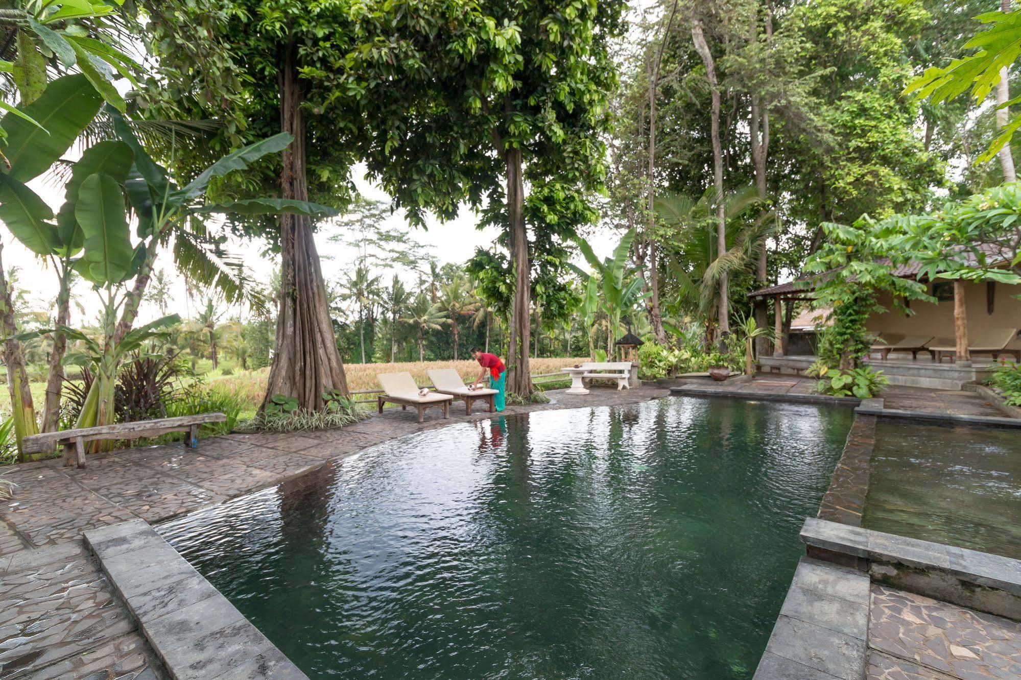 Umasari Rice Terrace Villa Selemadeg Dış mekan fotoğraf